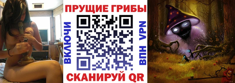 Купить закладки  Советская Гавань  Галлюциногенные грибы Psilocybine cubensis 